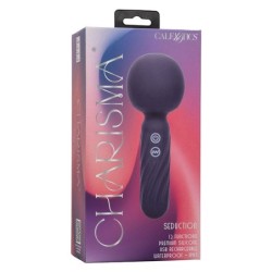 Charisma Seduction Vibrator pentru Masaj 12 Funcții 17,75 Cm X 6,25 Cm Violet