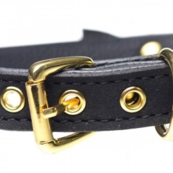 Collier de chaton doré avec grelot - Noir/Doré