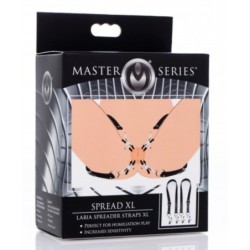 Lippenspreizer Lippenspreizer XL