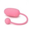Intelligent Kegel Trainer