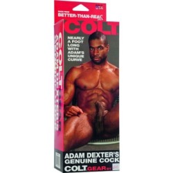 Colt Πέος Ρεαλιστικό Adam Dexter