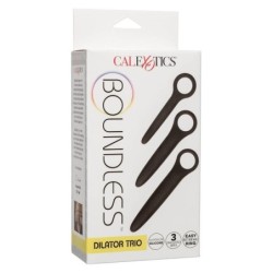 Dilatorski Trio