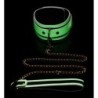 Glow-in-the-dark halsband met riem