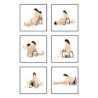 EZ-Ride - Meuble pour Positions Coquines en Couple