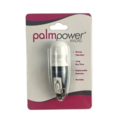 Palm Power - Porta-chaves Vibrador Micro Wand