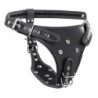 Double Penetration Harness - Black