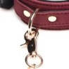 Ensemble de 6 pièces de menottes BDSM en daim avec collier et laisse - Bourgogne