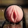 Fleshlight - Pink Lady Destroja
