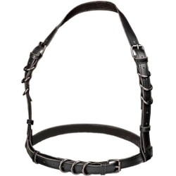 Euphoria Arnês Hatler Com Fivela Preto