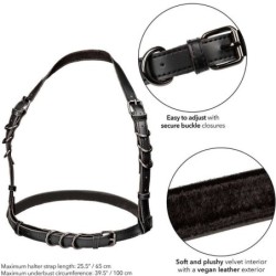 Euphoria Arnês Hatler Com Fivela Preto