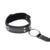 Conjunto de Coleira com Algemas de Fixação - Preto