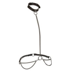 Euphoria Coleira Halter Y Guia Com Corrente