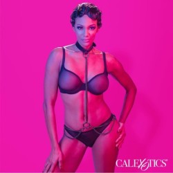 Euphoria Coleira Halter Y Guia Com Corrente