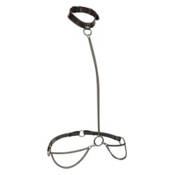 Euphoria Coleira Halter Y Guia Com Corrente Tamanho Plus