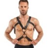 Rocco Restraint Harness - Black