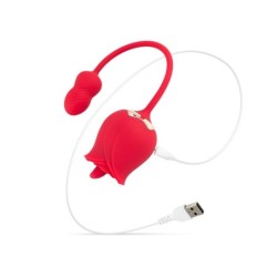 Vibrator roz și stimulator clitoridian Teazers