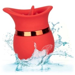 Beijo Francês Sweet Talker