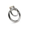 Anillo de pene/testículos con cierre para pene bloqueado