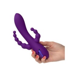 Long Beach Bootylicious Roxo