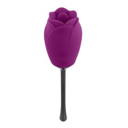 Playboy - Petal Vibrator - Paars/Zwart