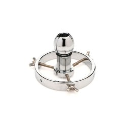 Stainless Steel Anal Explorer