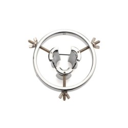 Stainless Steel Anal Explorer