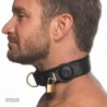 Collar de Rastreo - Negro