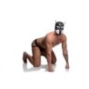 Capucha BDSM de Cachorro con Púas - Negro/Blanco