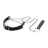 Collar amb Cadena - Plata