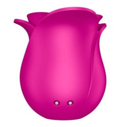 Satisfyer Pro 2 Moderní Květ