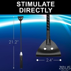 Pala de estimulación electrónica