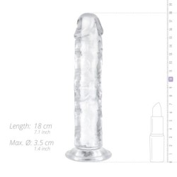 Žele dildo brez kroglic - 16 cm