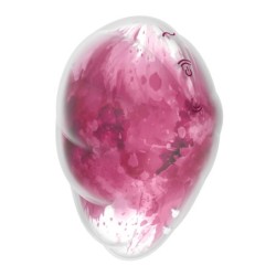 Satisfyer Cloud Dancer - Rød