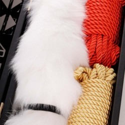 BDSM alles-in-1 speelset zwart