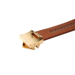 Collier de Posture - marron