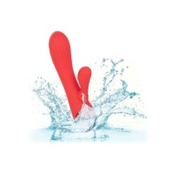 Palisades Passion Rot