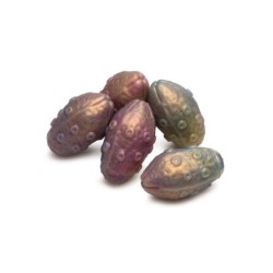 Deep Invader Tentacle Ovipositor Silikona Dildo ar Olām