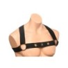 Arreio de peito com braçadeiras - Preto S/M