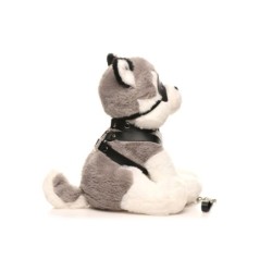 Cucciolo Feticista - Grigio e Bianco