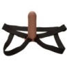 Performance Maxx Extension with Harness - Tan Leather