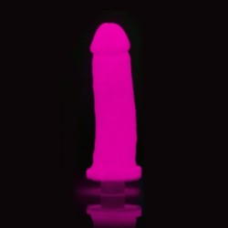 Clone-A-Willy - Set, der im Dunkeln leuchtet - Pink Fuchsia