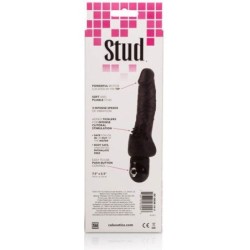 Power Stud Cliterrific Vibrador Negro