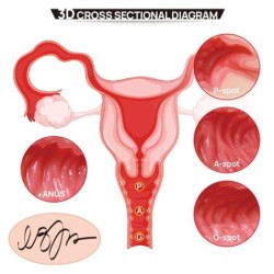 004 Vanilli Onahole Kahekihiliste Päris Puusadega