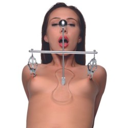 Tepelklemmen Toren van Pijn - Zilver