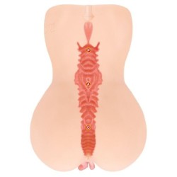 Onahole Edicija 001 Masturbator XL z Dvojno Plastjo