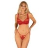 Conjunto de sutiã de renda Lonesia com saia sexy - Vermelho L/XL