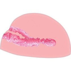 Horny Fuck Masturbador Ano Y Vagina Con Vibrador