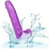 Dildo Lila Size Queen 20.3 Cm