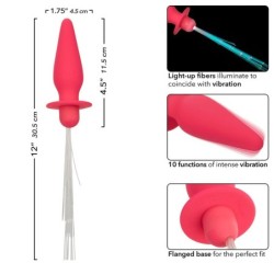 Plug Anal Lumineux avec Lumières Southern Lights 10 Vibrations Silicone Rose