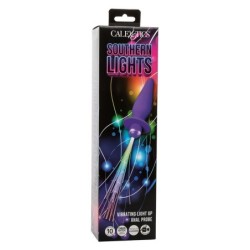 Southern Lights Plug Anal Luminoso Com 10 Vibrações Silicone Violeta
